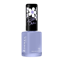 Load image into Gallery viewer, 60 Seconds Super Shine Nail Polish