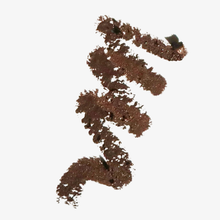 Load image into Gallery viewer, 24 HR Waterproof Eyeliner
