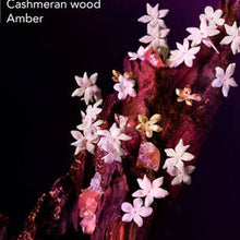 Load image into Gallery viewer, Alien EDP Hair &amp; Body Mist
